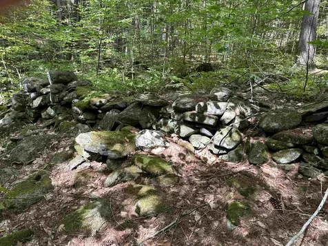 81 Parish Hill Road Newfane VT 05351