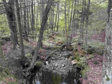 81 Parish Hill Road Newfane VT 05351