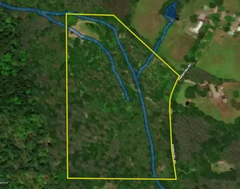 81 Parish Hill Road Newfane VT 05351