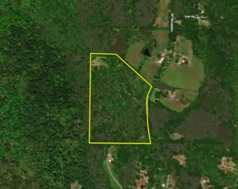 81 Parish Hill Road Newfane VT 05351