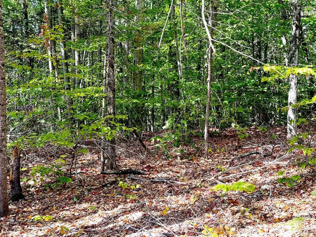 715 N Groton Road Groton NH 03241