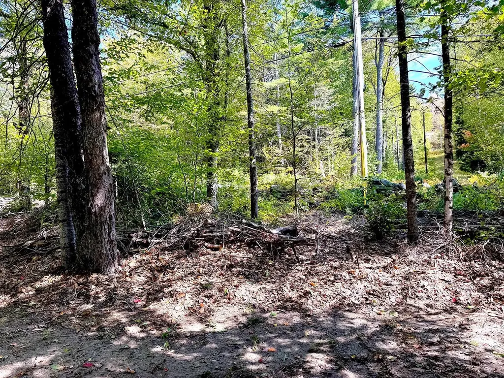 715 N Groton Road Groton NH 03241