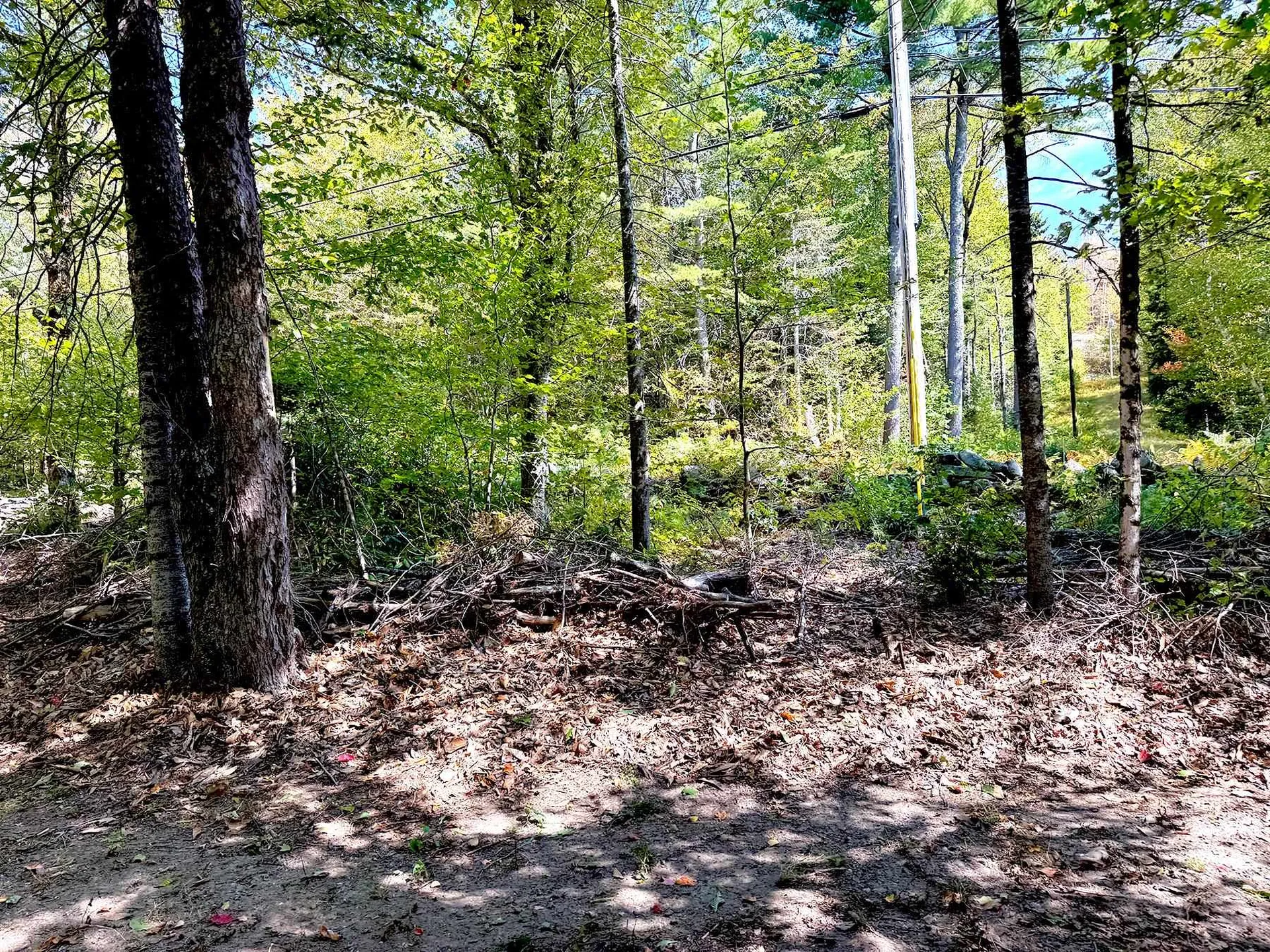 715 N Groton Road Groton NH 03241