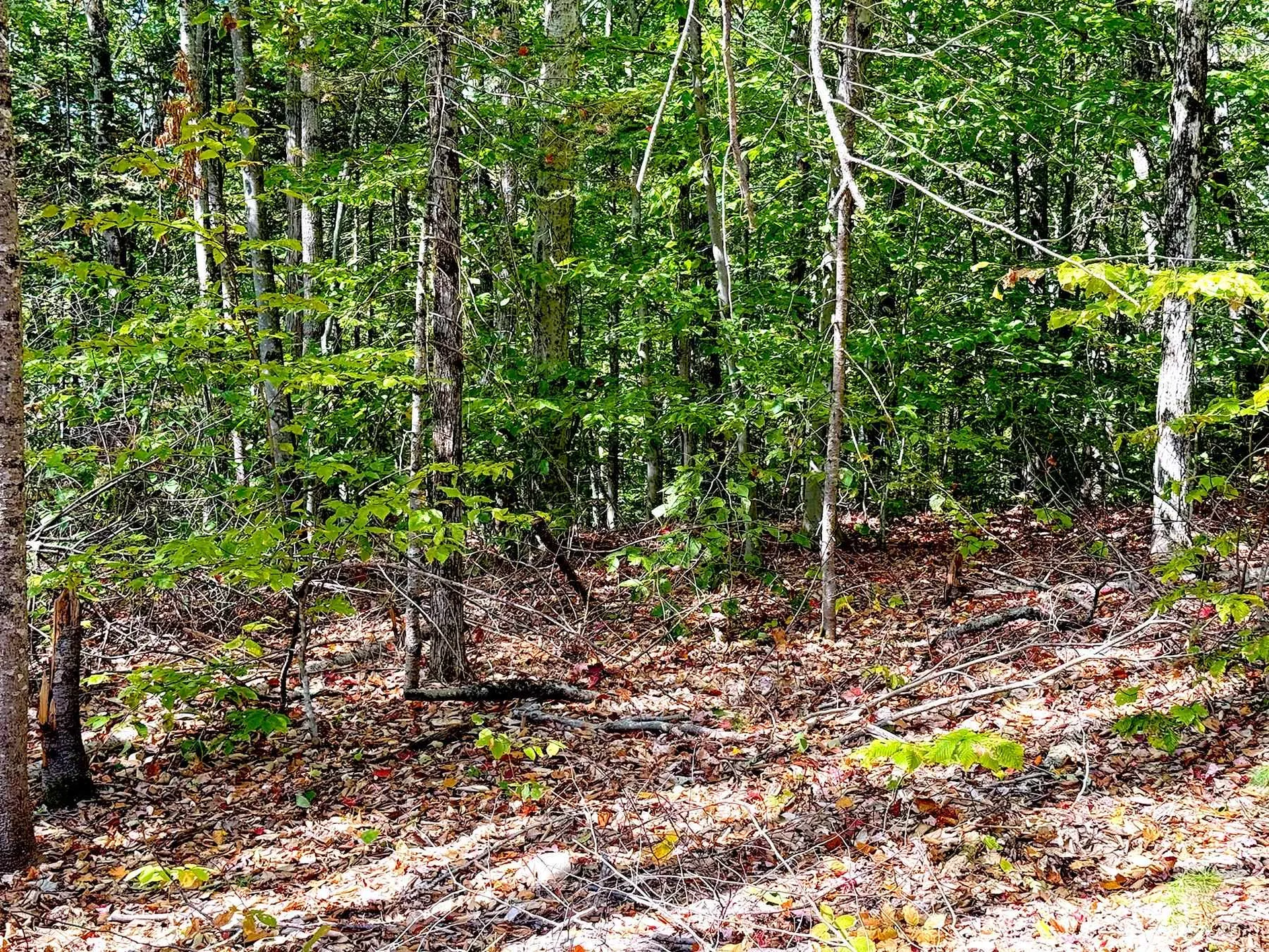 715 N Groton Road Groton NH 03241