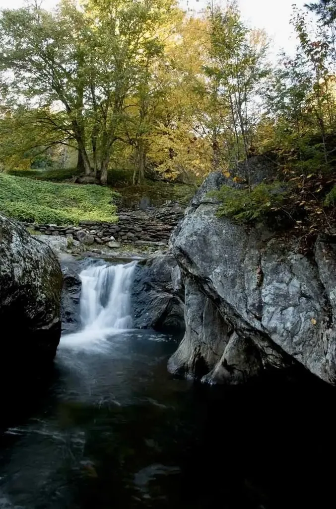 1019 Waterman Road Johnson VT 05656