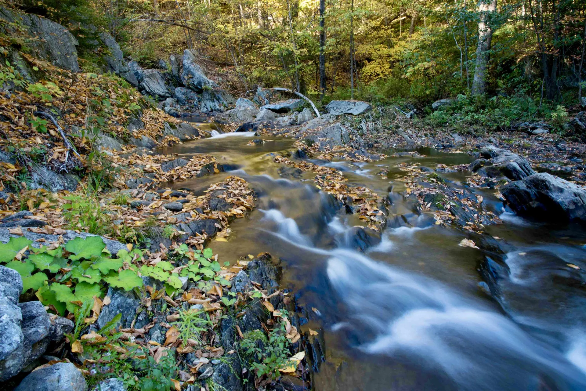 1019 Waterman Road Johnson VT 05656