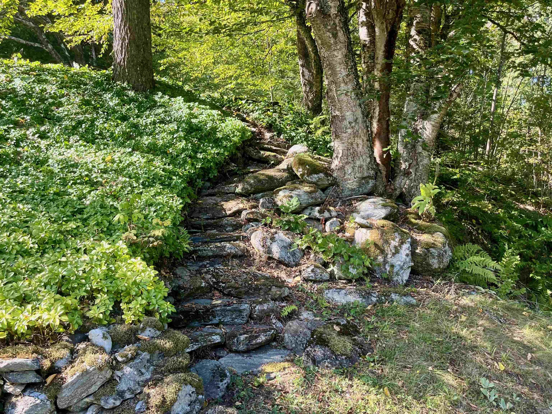 1019 Waterman Road Johnson VT 05656