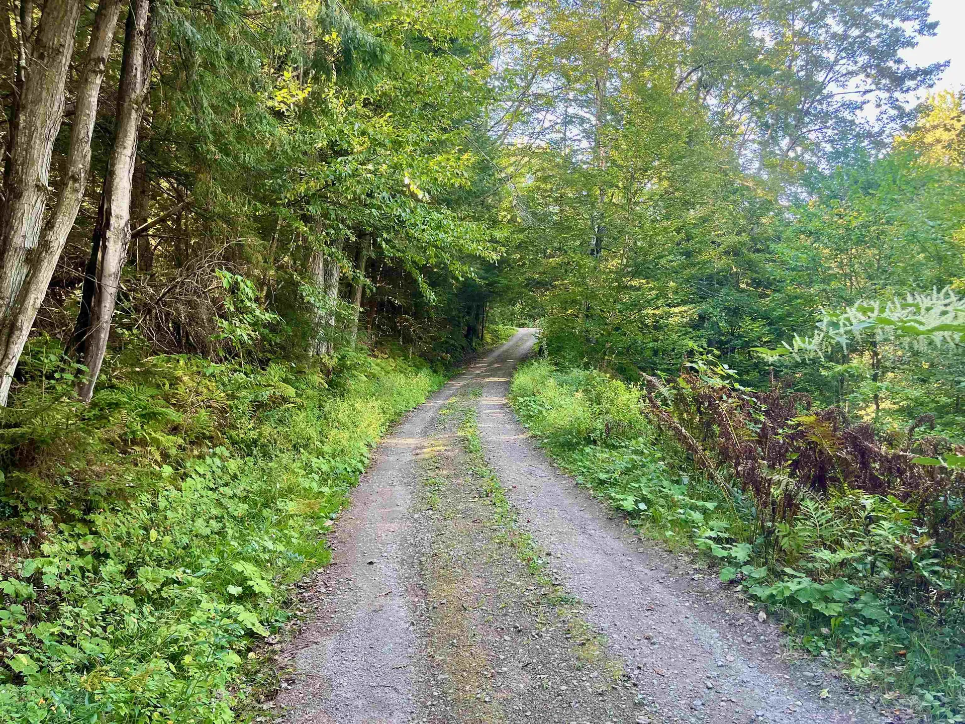 1019 Waterman Road Johnson VT 05656