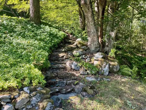1019 Waterman Road Johnson VT 05656