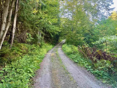 1019 Waterman Road Johnson VT 05656