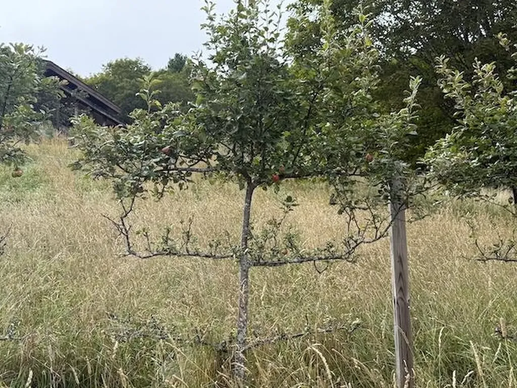 2208 Backway Road Corinth VT 05039