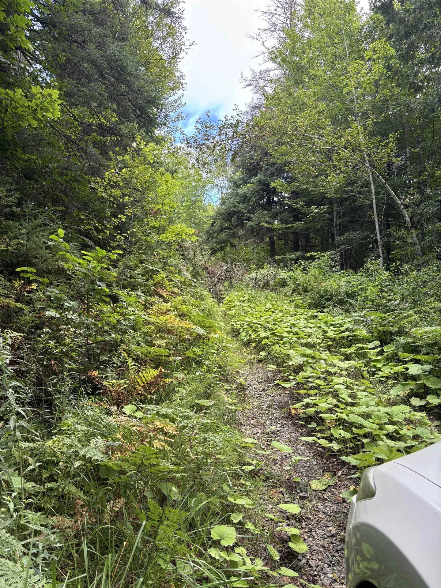 5628 South Wheelock Road Wheelock VT 05851