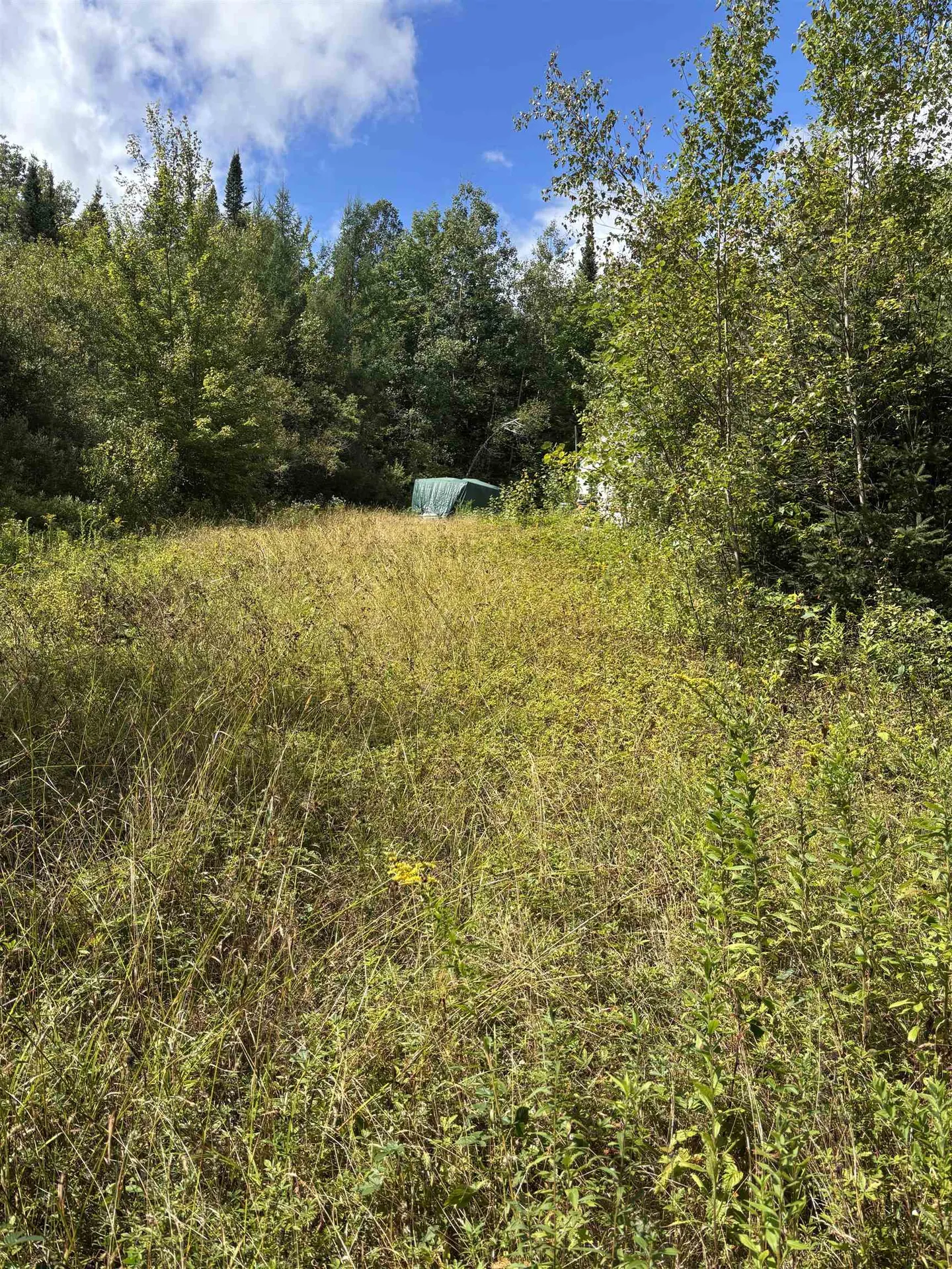 5628 South Wheelock Road Wheelock VT 05851