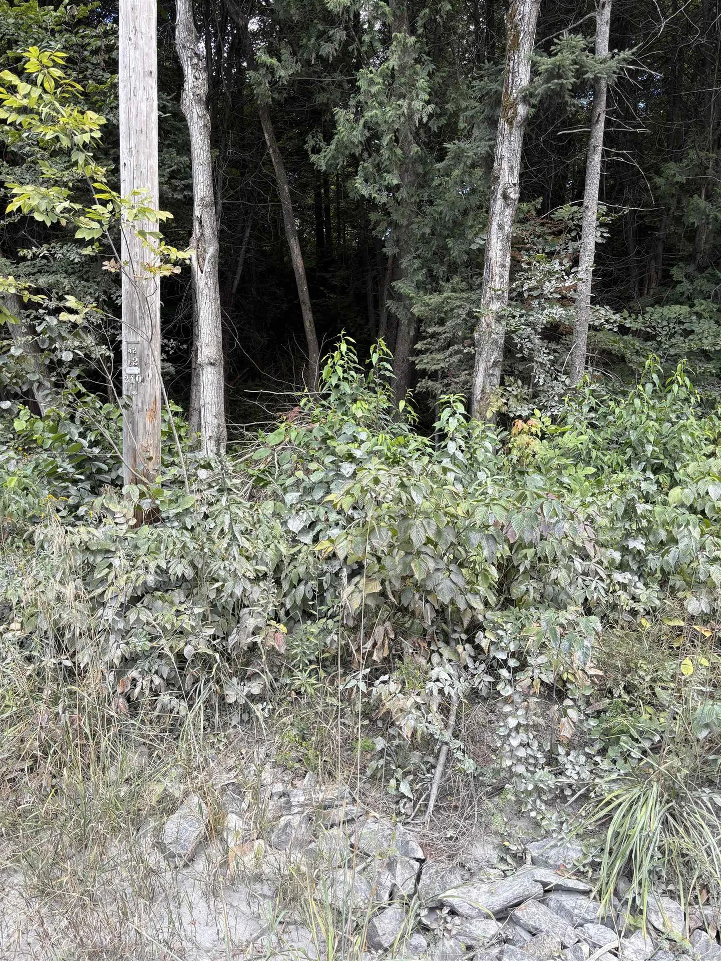 5628 South Wheelock Road Wheelock VT 05851