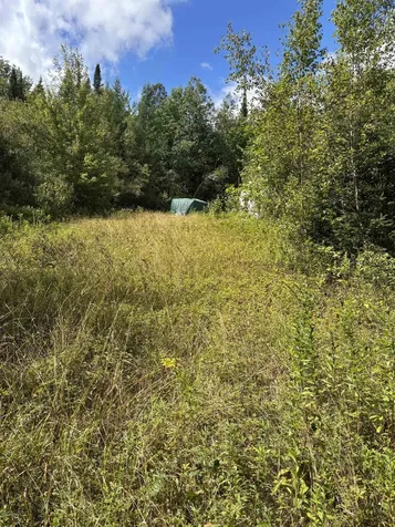 5628 South Wheelock Road Wheelock VT 05851