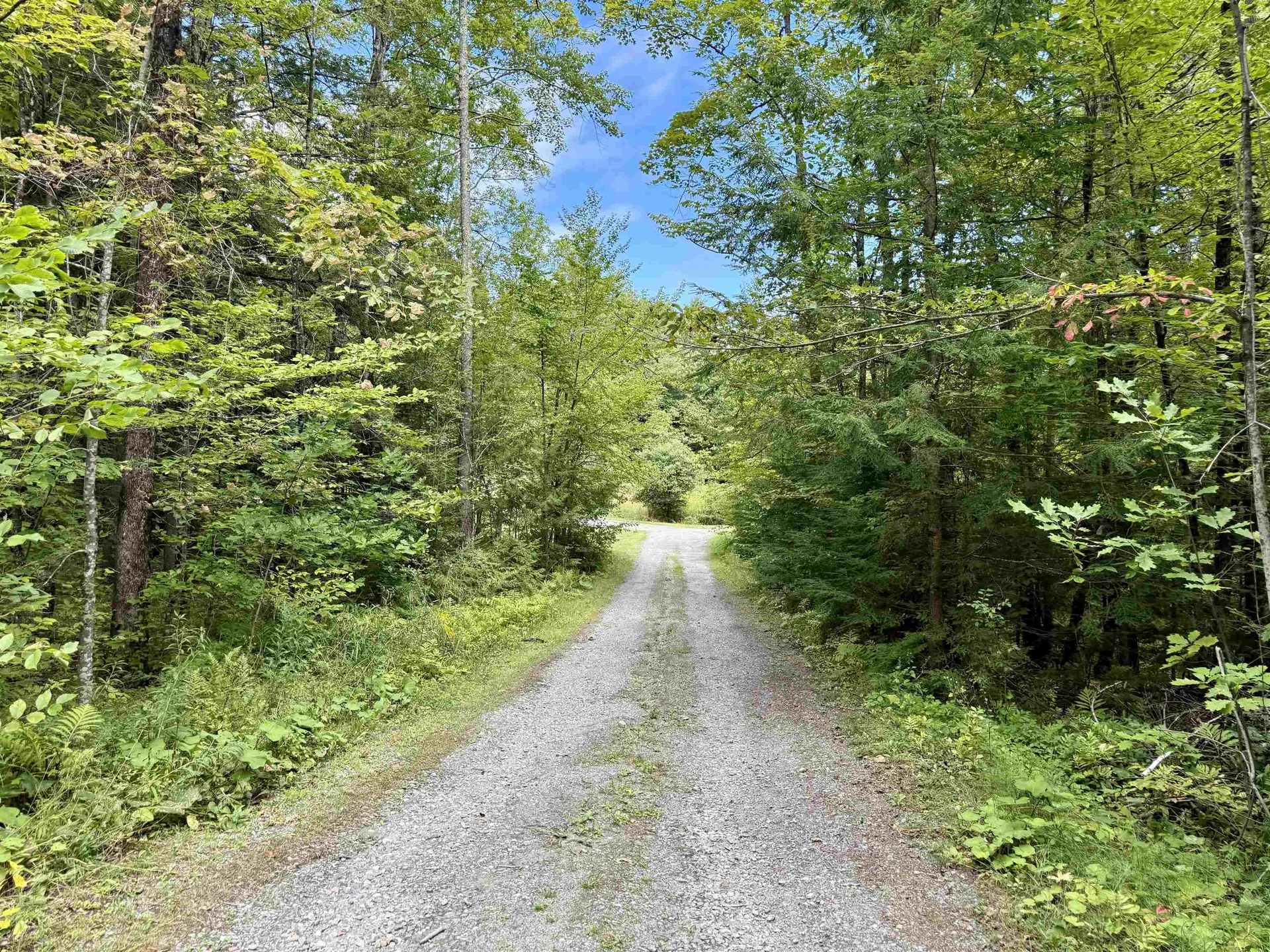 771 Woods Hollow Road Westford VT 05494