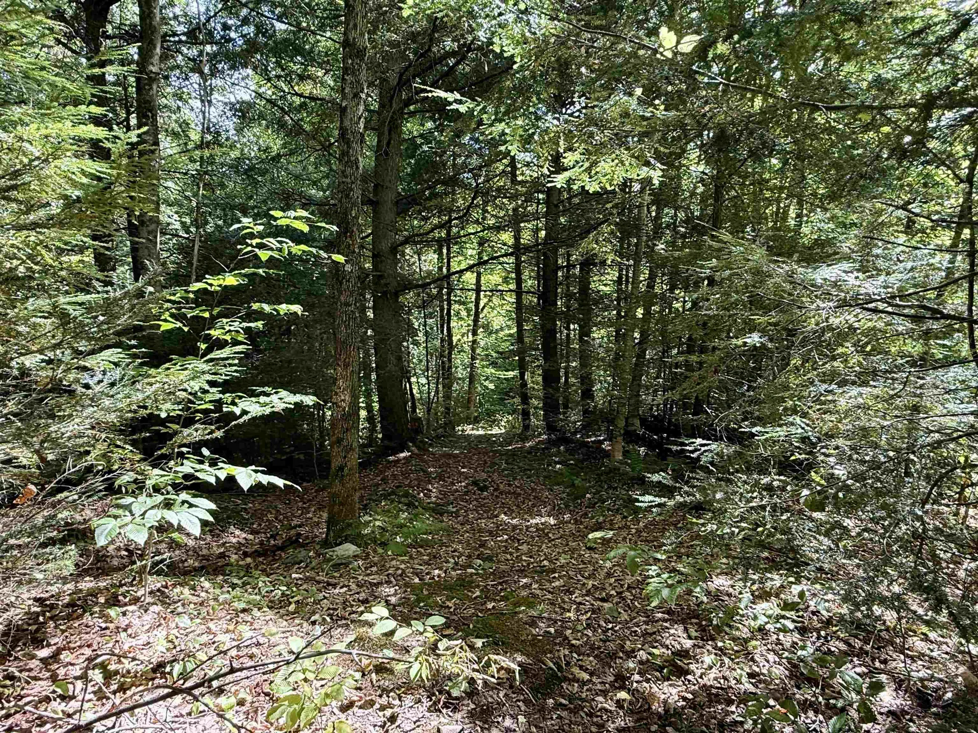 771 Woods Hollow Road Westford VT 05494