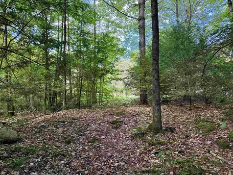 771 Woods Hollow Road Westford VT 05494