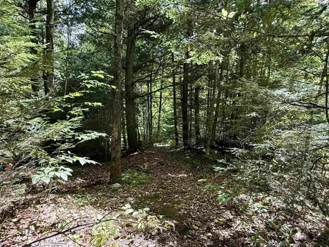 771 Woods Hollow Road Westford VT 05494