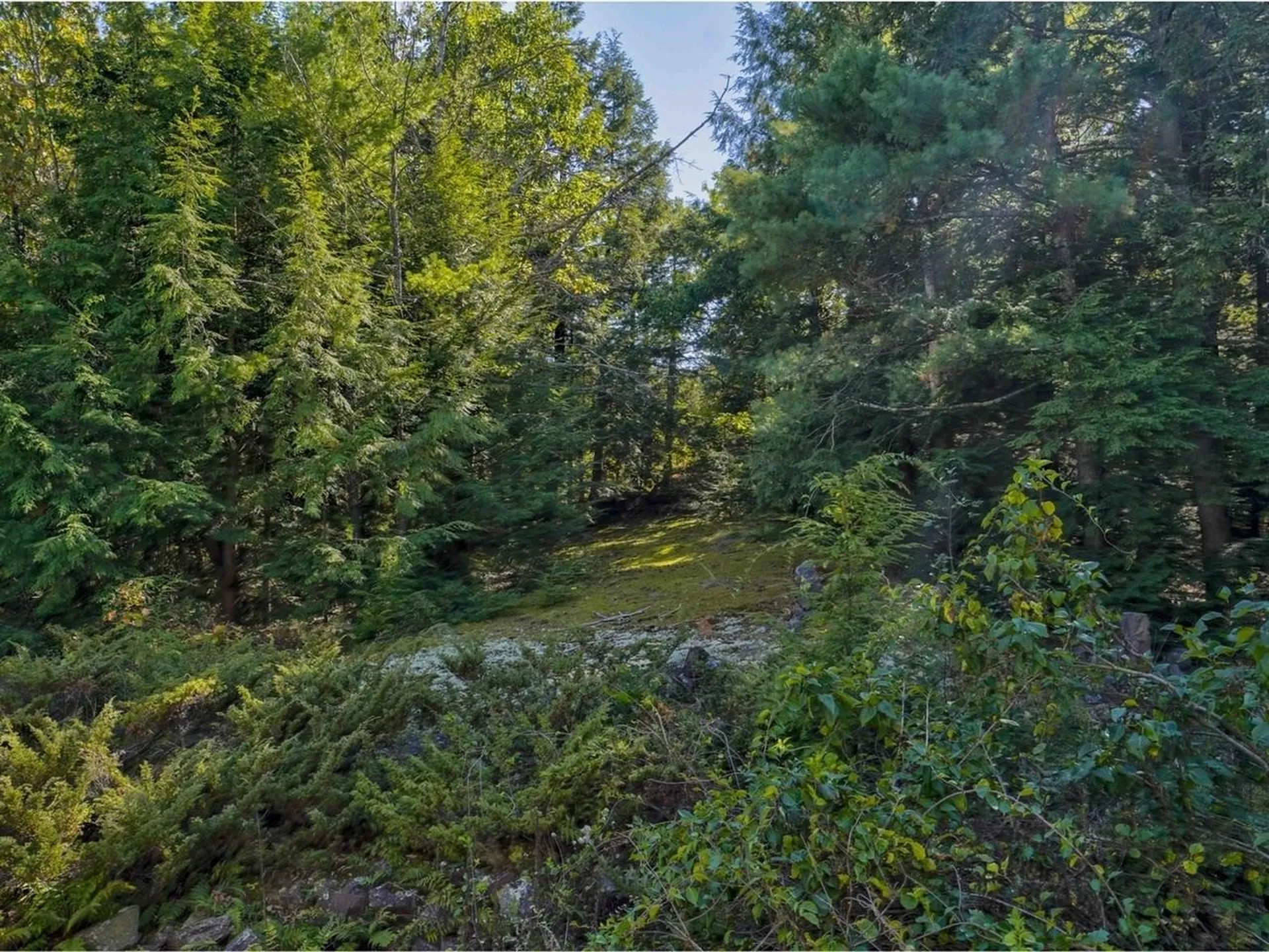 184 East Redrock Drive Burlington VT 05401