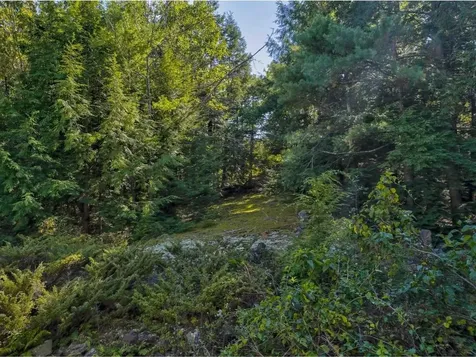 184 East Redrock Drive Burlington VT 05401