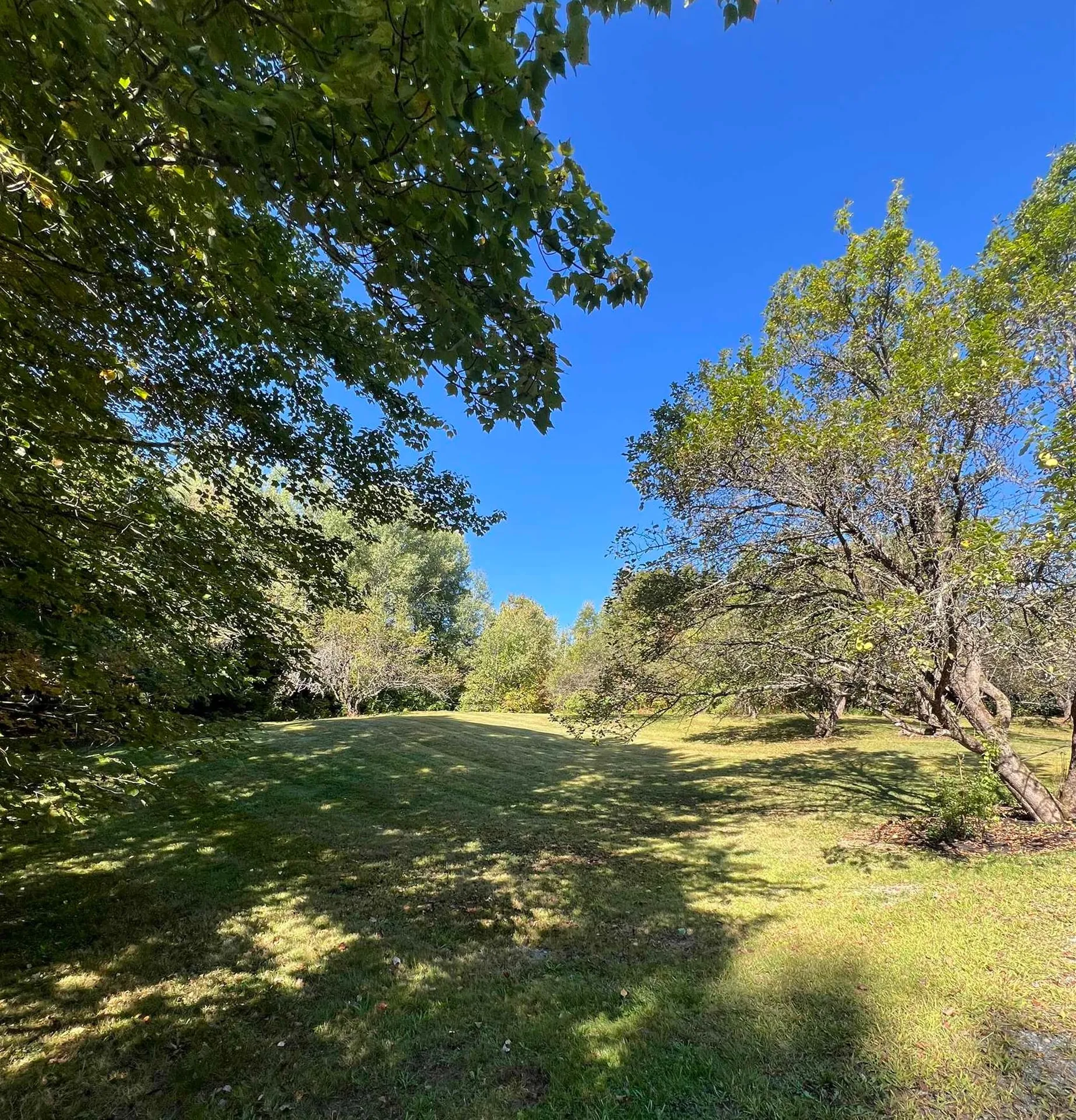 113 Appletree Lane Newport City VT 05855