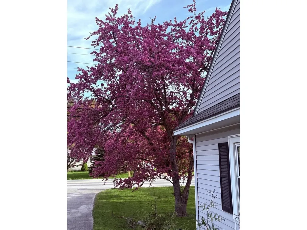 165 Vt Route 15 Jericho VT 05465