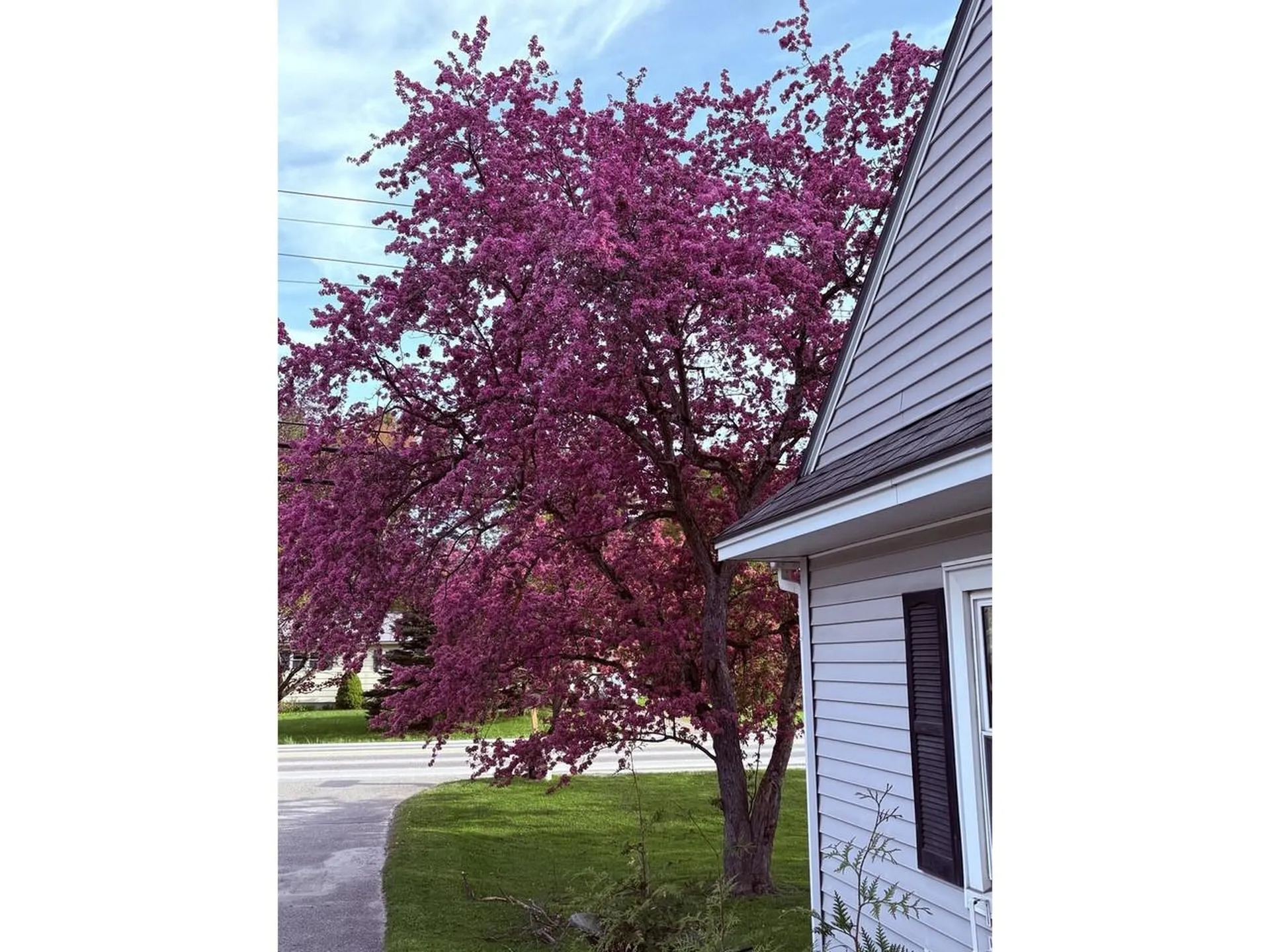 165 Vt Route 15 Jericho VT 05465