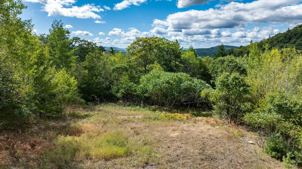 Lot 2 Youngs Road Eaton NH 03832