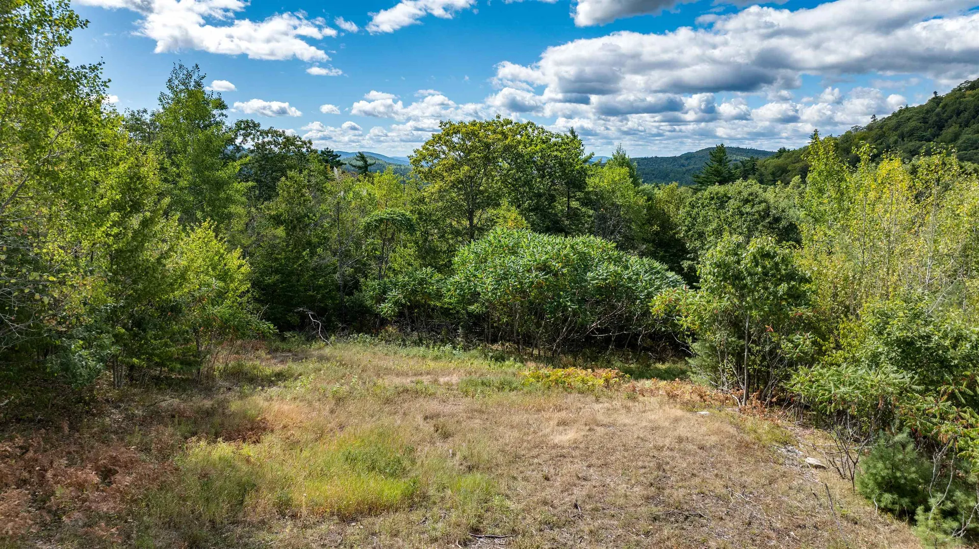 Lot 1 Youngs Road Eaton NH 03832