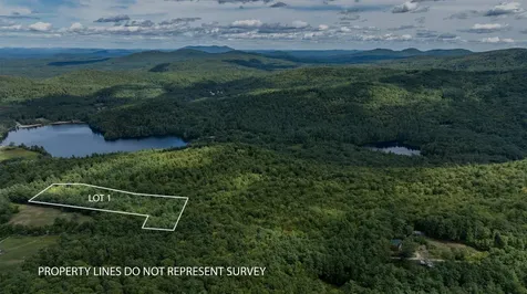 Lot 1 Youngs Road Eaton NH 03832
