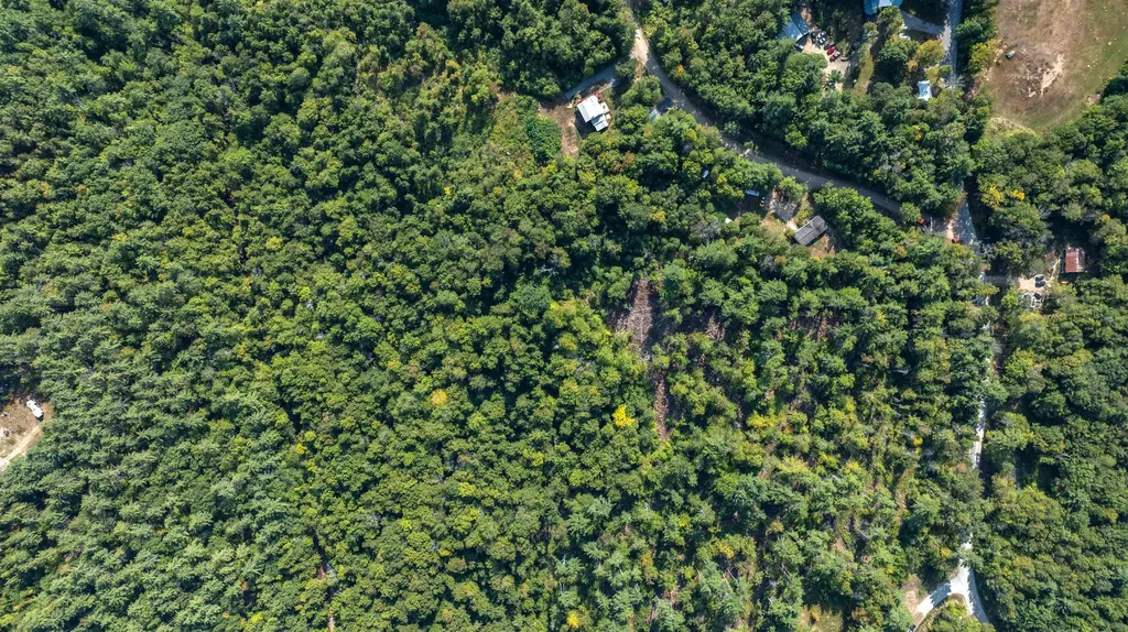 Lot 56-3 Ossipee Mountain Road Ossipee NH 03814