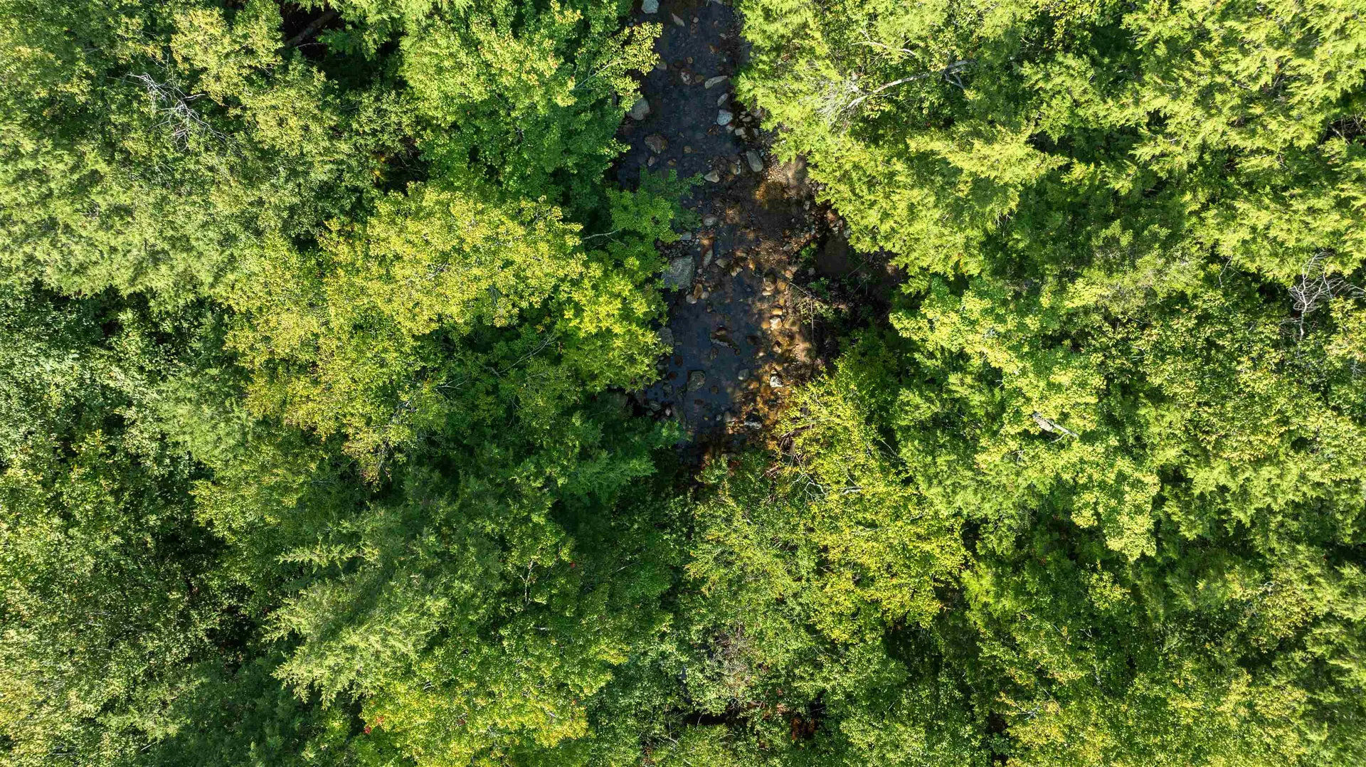 Lot 56-3 Ossipee Mountain Road Ossipee NH 03814