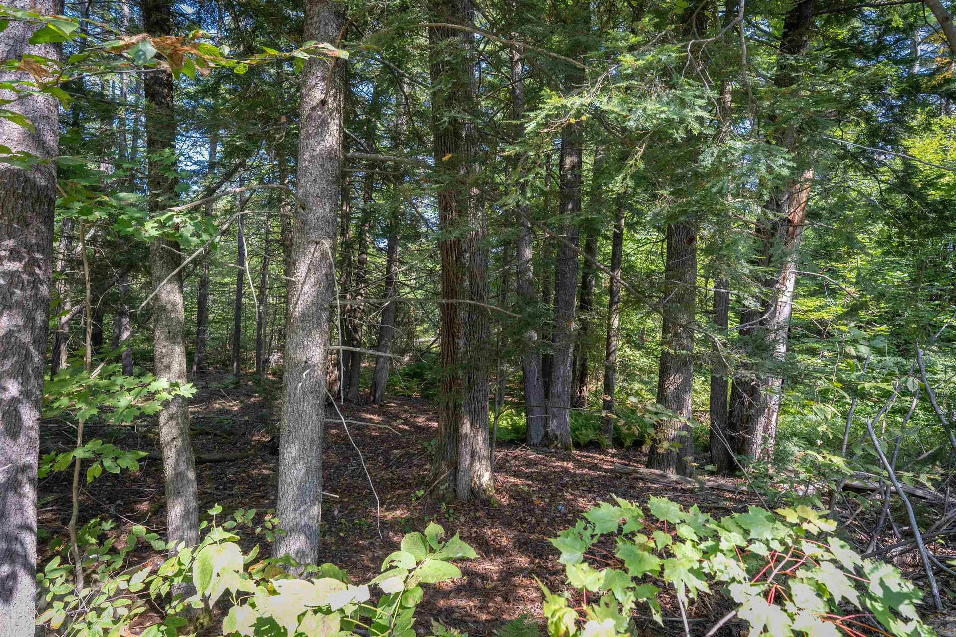 Lot 56-3 Ossipee Mountain Road Ossipee NH 03814