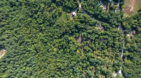 Lot 56-3 Ossipee Mountain Road Ossipee NH 03814