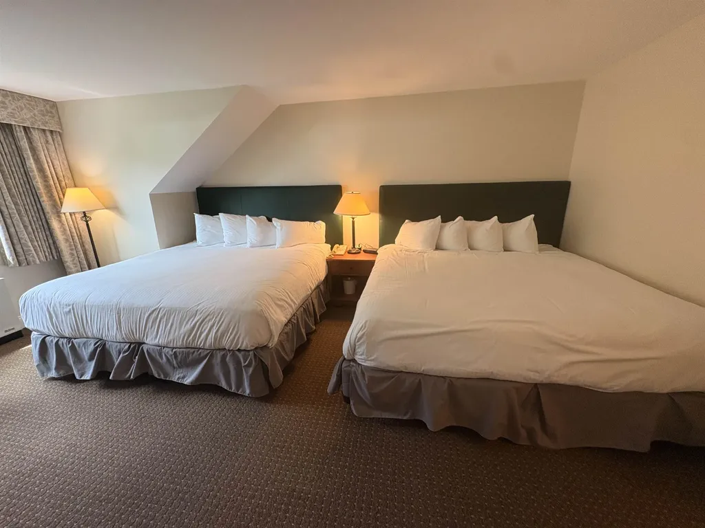 341/43 Qtr.4,89 Grand Summit Way Dover VT 05356