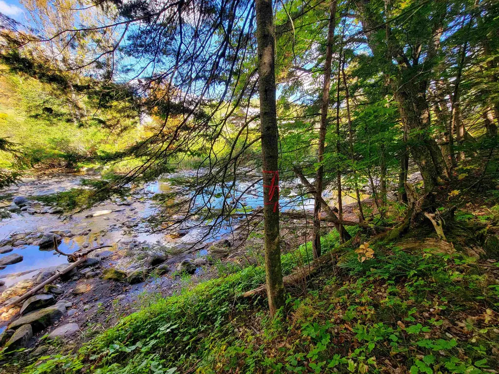 6 Meadowbrook Lane Chelsea VT 05038