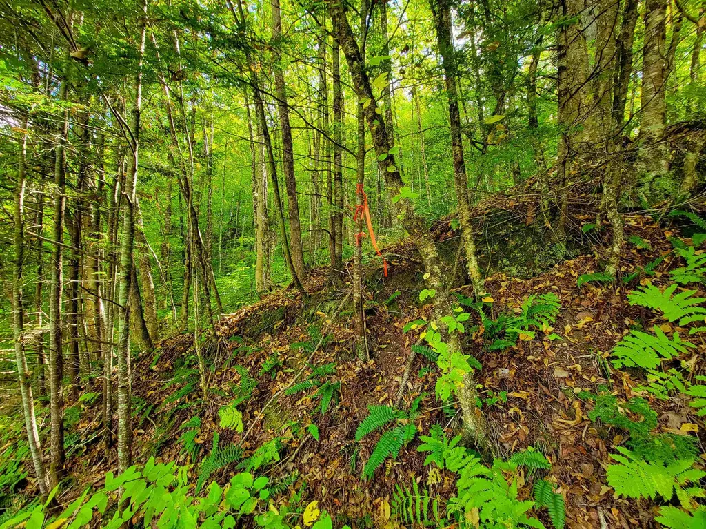 6 Meadowbrook Lane Chelsea VT 05038