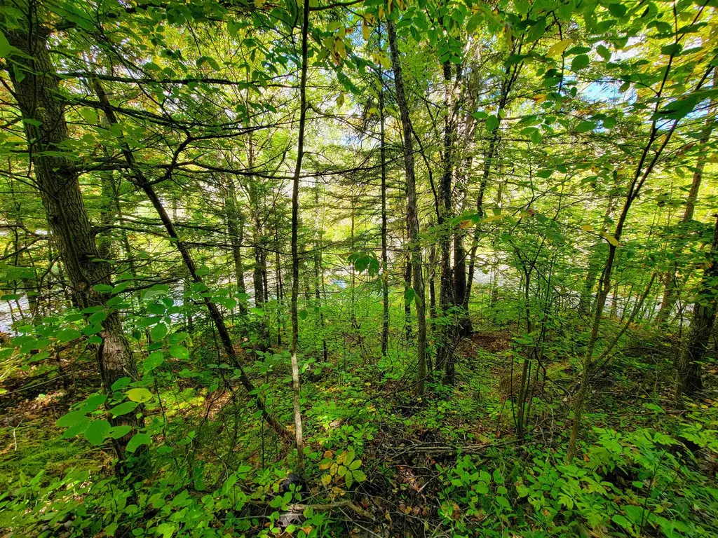 6 Meadowbrook Lane Chelsea VT 05038