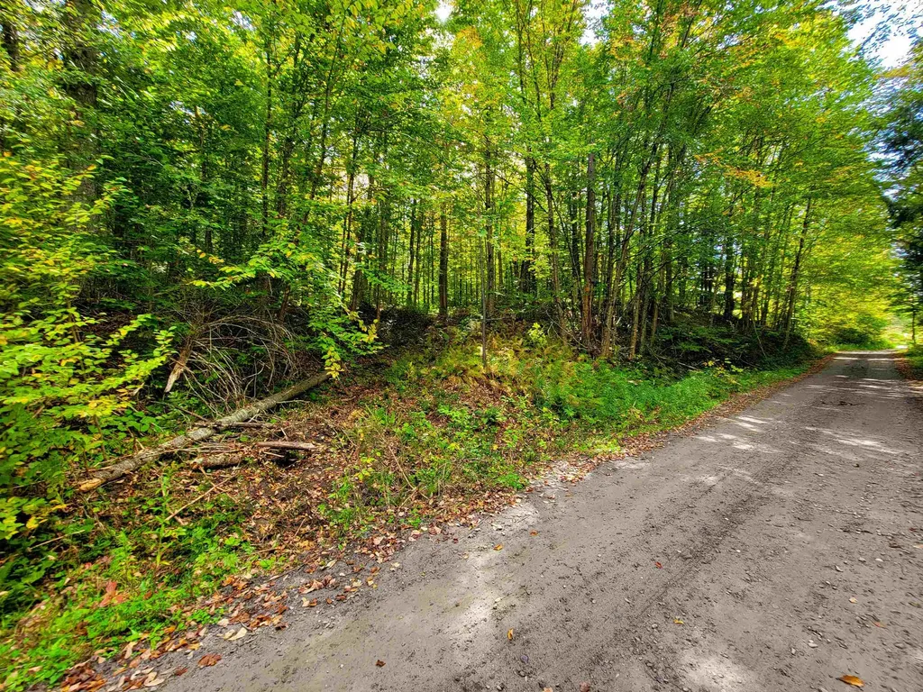 6 Meadowbrook Lane Chelsea VT 05038