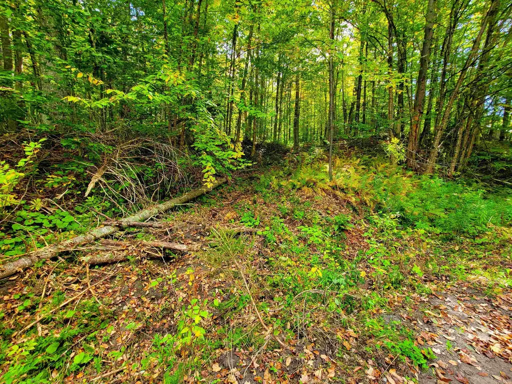 6 Meadowbrook Lane Chelsea VT 05038