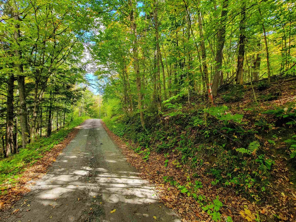 6 Meadowbrook Lane Chelsea VT 05038