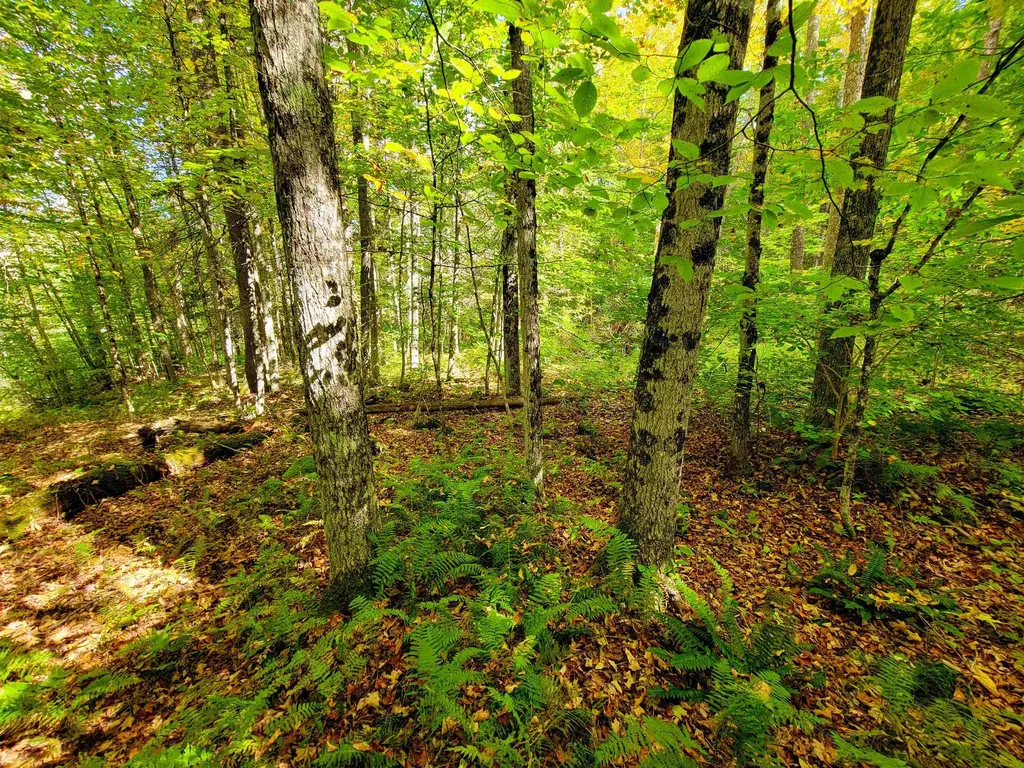 6 Meadowbrook Lane Chelsea VT 05038