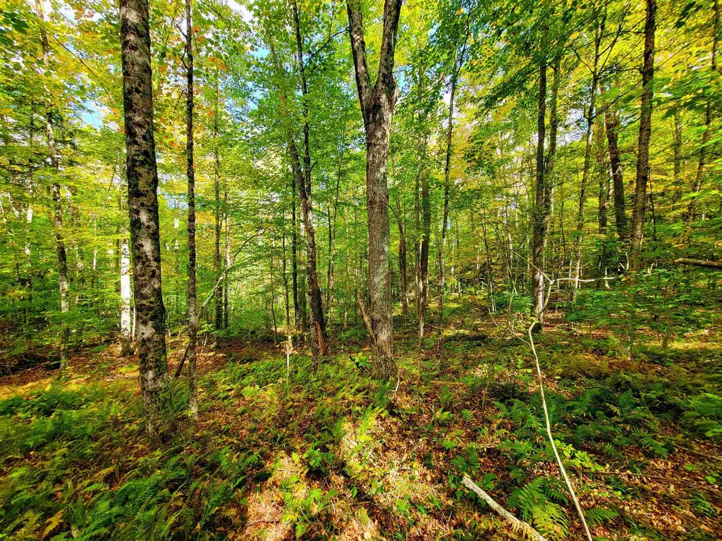 6 Meadowbrook Lane Chelsea VT 05038