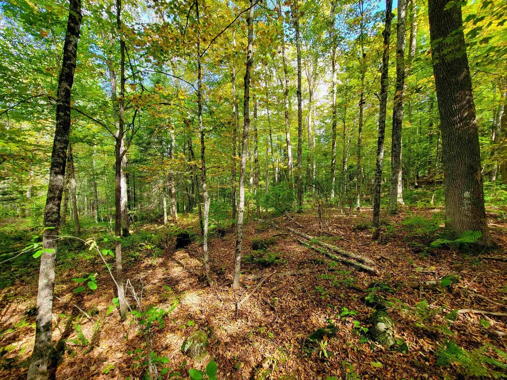 6 Meadowbrook Lane Chelsea VT 05038