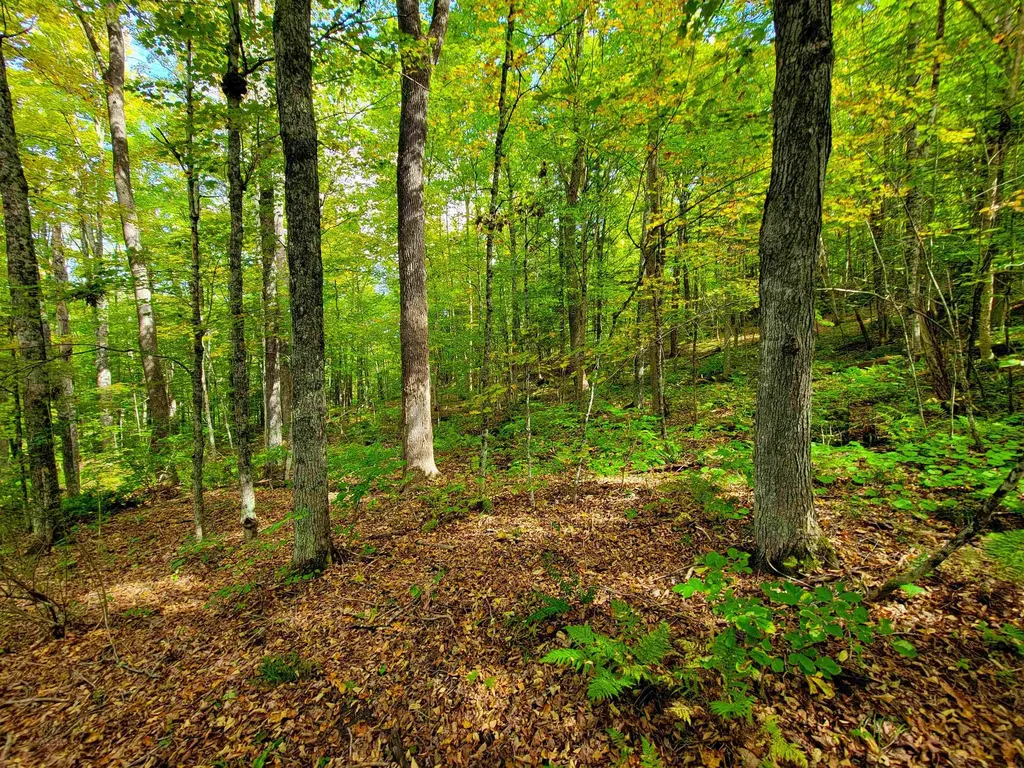 6 Meadowbrook Lane Chelsea VT 05038