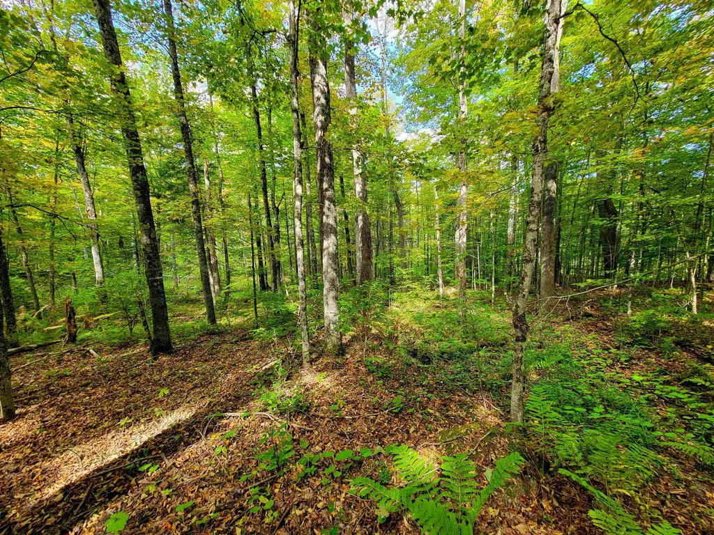 6 Meadowbrook Lane Chelsea VT 05038