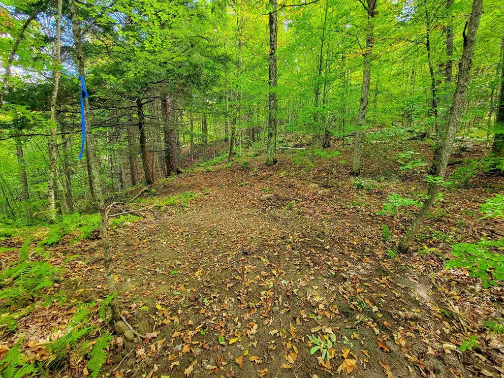 6 Meadowbrook Lane Chelsea VT 05038