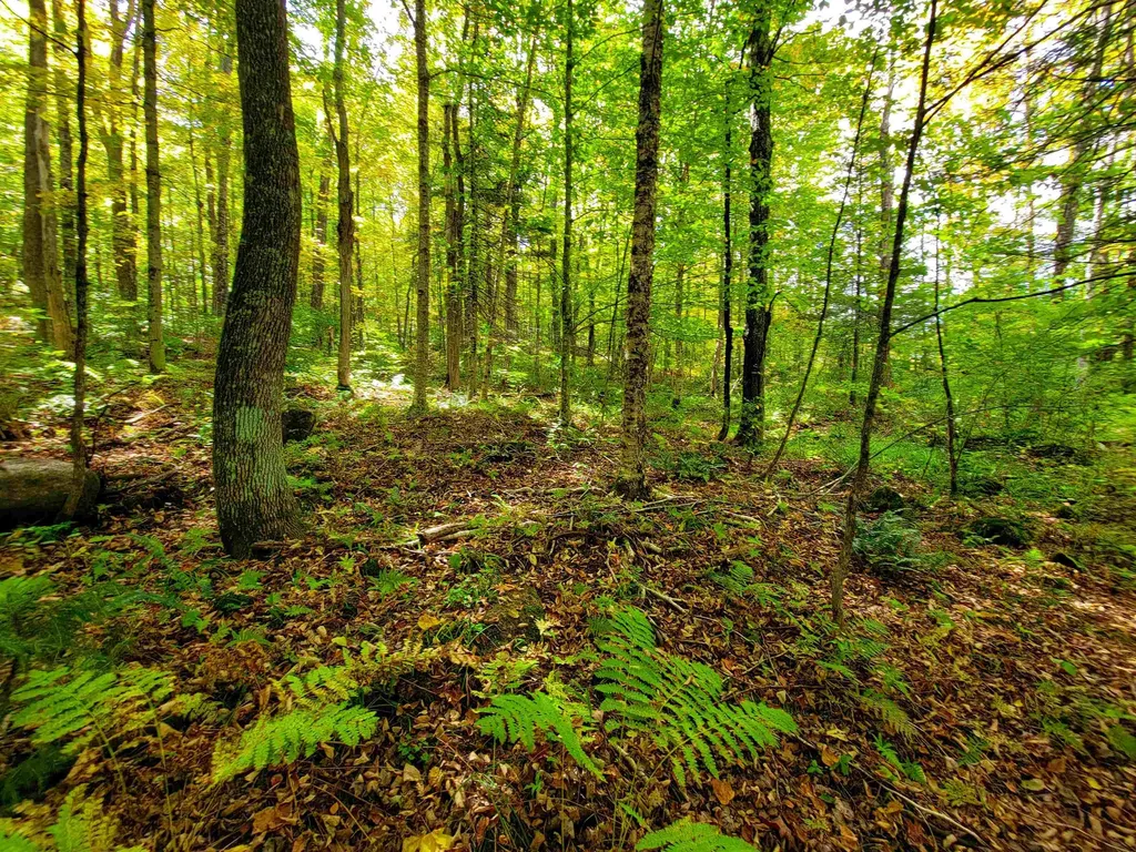 6 Meadowbrook Lane Chelsea VT 05038