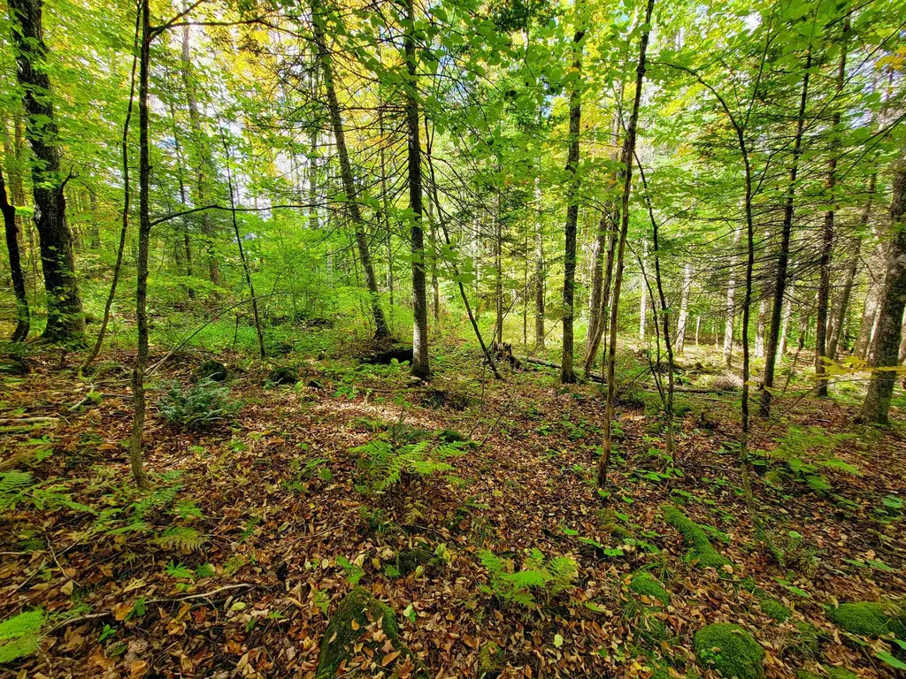 6 Meadowbrook Lane Chelsea VT 05038